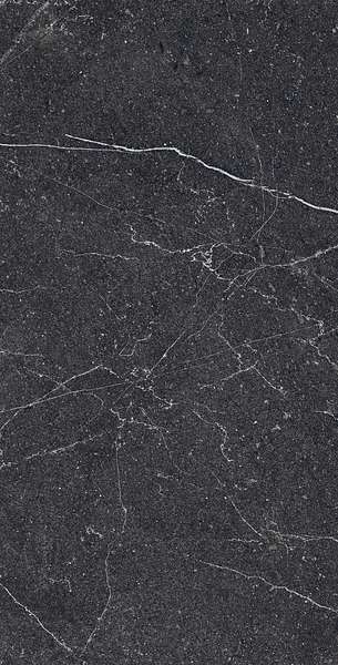 Керамогранит EQUISTONE CHARCOL 1200 × 600 мм — КЕР007427 — изображение 2