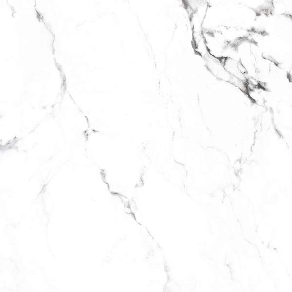 Керамогранит BORGHINI SILVER 600 × 600 мм — КЕР007445 — изображение 19