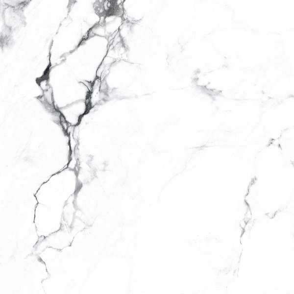 Керамогранит BORGHINI SILVER 600 × 600 мм — КЕР007445 — изображение 17