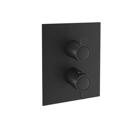 Встраиваемый термостатический смеситель для душа на 2 выхода BLAUTHERM черный — изображение 1